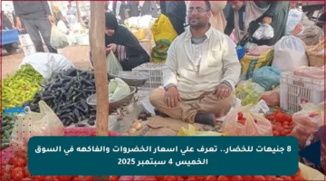 8 جنيهات للخضار.. تعرف على أسعار الخضروات والفاكهة في السوق الخميس 4 سبتمبر 2025